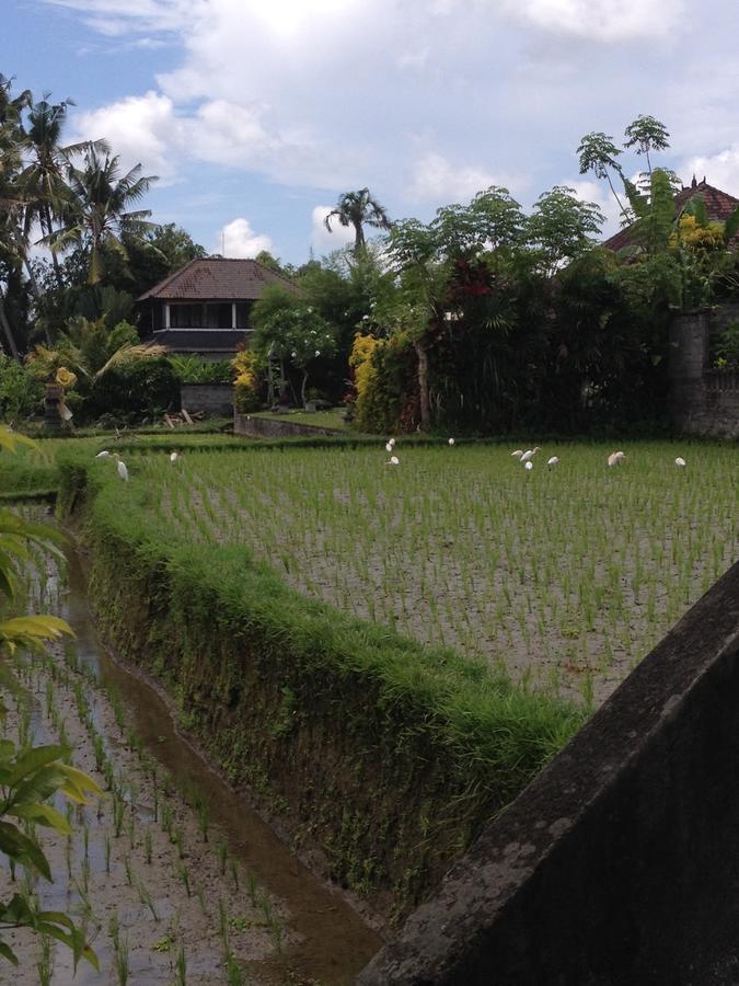 أوبود Bali Firefly Bnb المظهر الخارجي الصورة